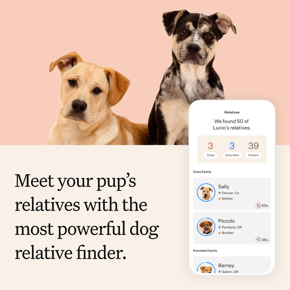 Wisdom Panel Premium Dog DNA Kit vet-care planning support