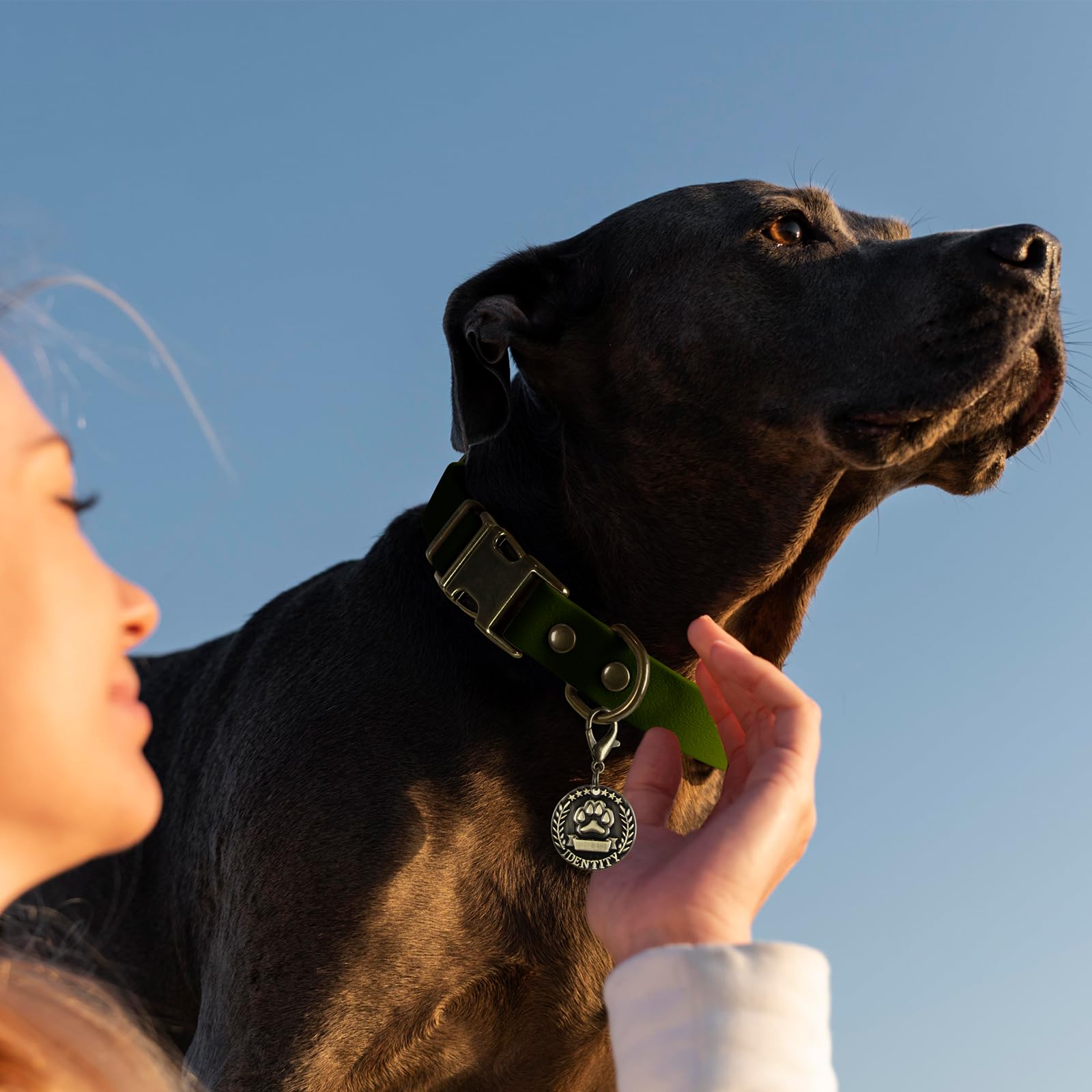 Wisedog antique-bronze buckle design adds durable, stylish hardware.