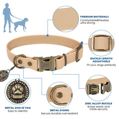Wisedog brass buckle closeup showing rust-resistant hardware on collar