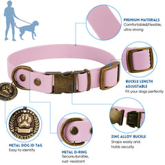 Wisedog collar hardware with brass buckles for durable daily use.