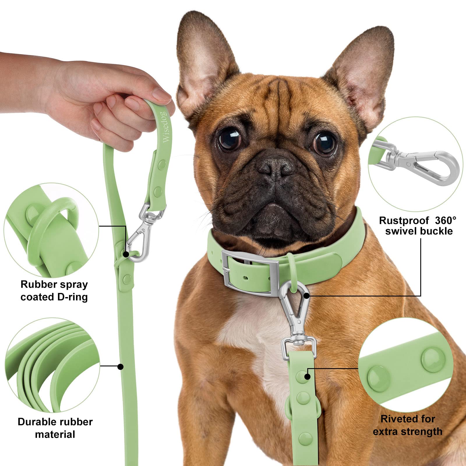 Correa Wisedog color verde salvia, estilo versátil para cualquier raza