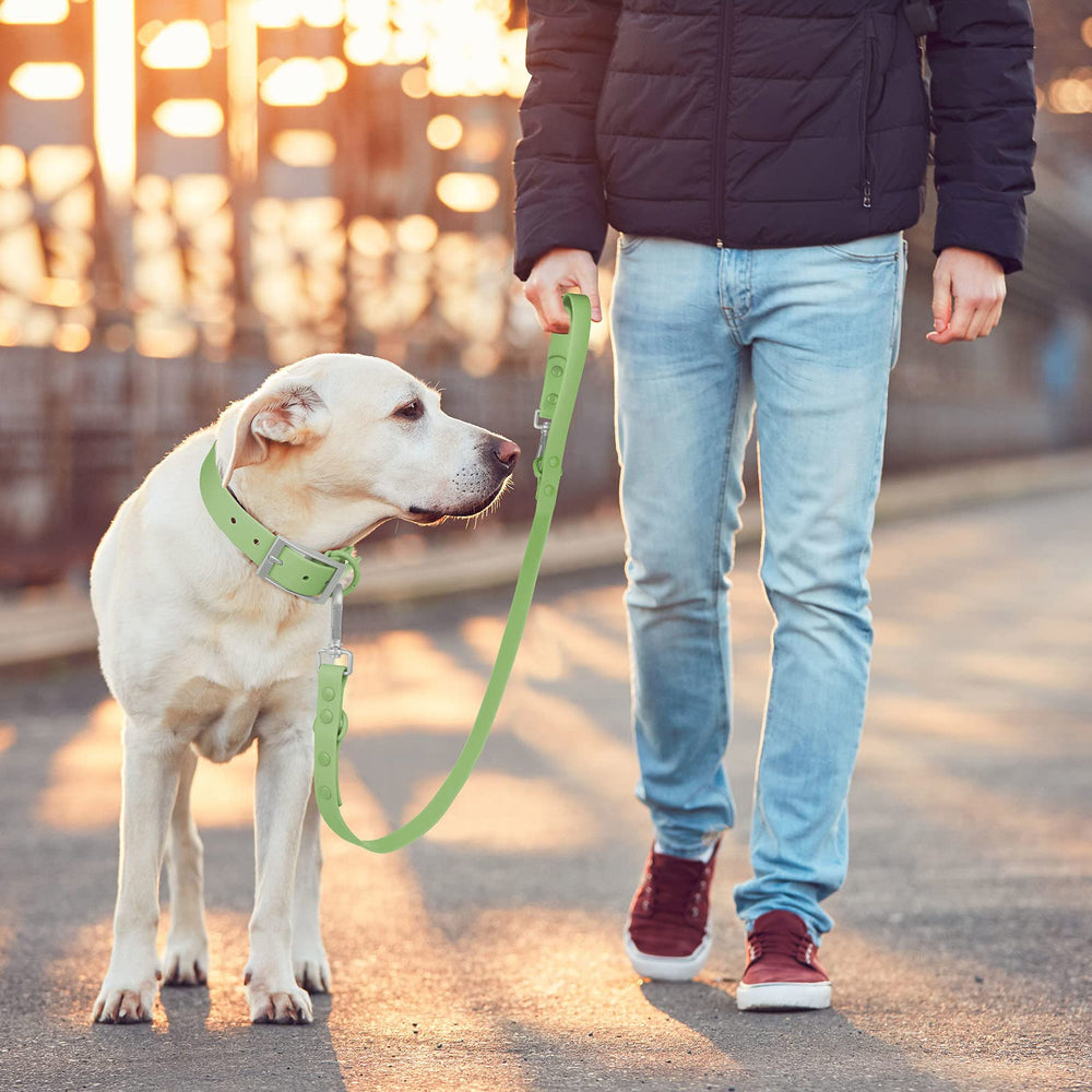 Correa Wisedog para paseos diarios, resistente a la lluvia
