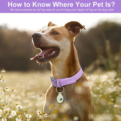 Wisedog easy-to-clean dog collar being wiped down after muddy activity