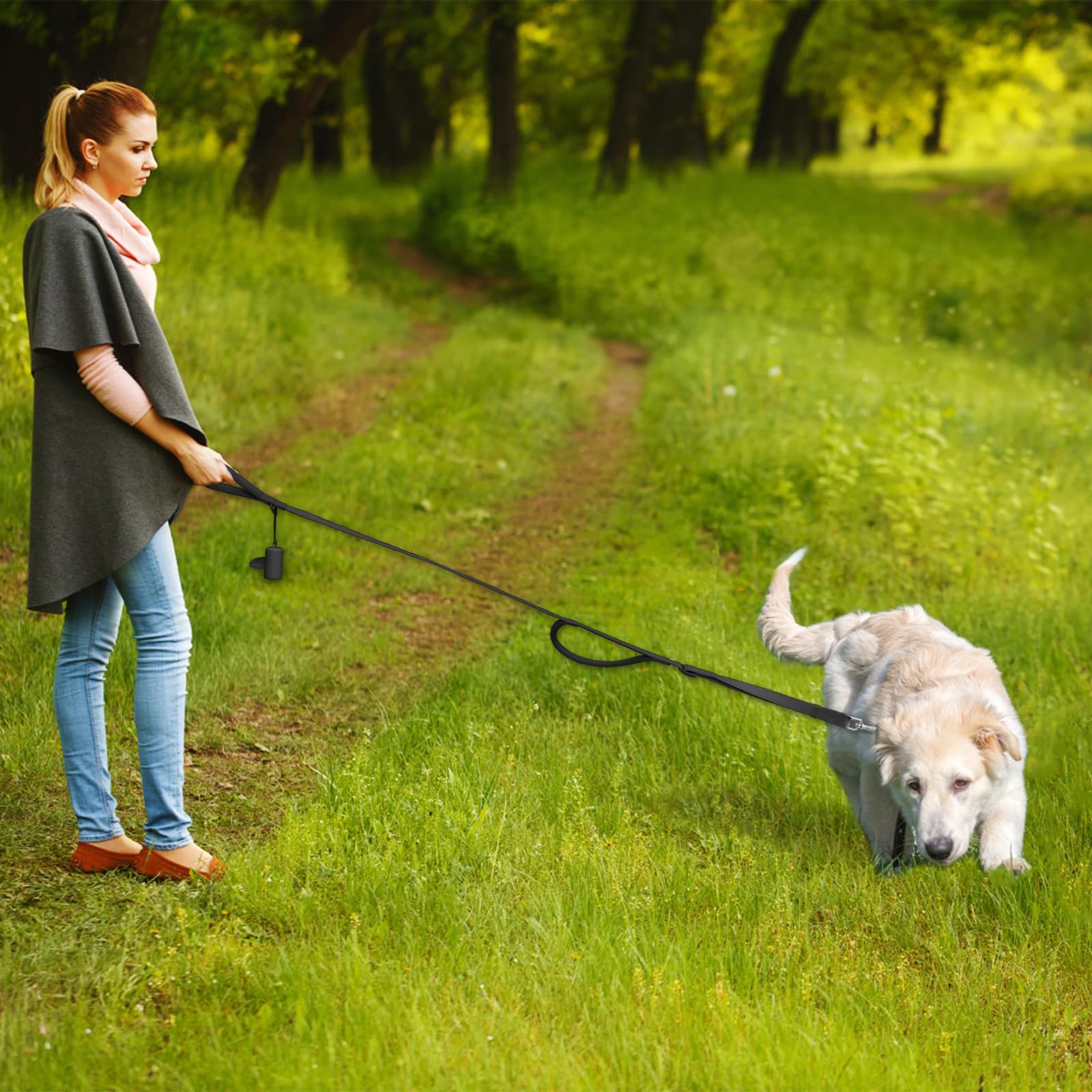 Wisedog leash with adjustable length from 4.2 to 5 feet for versatile walking.