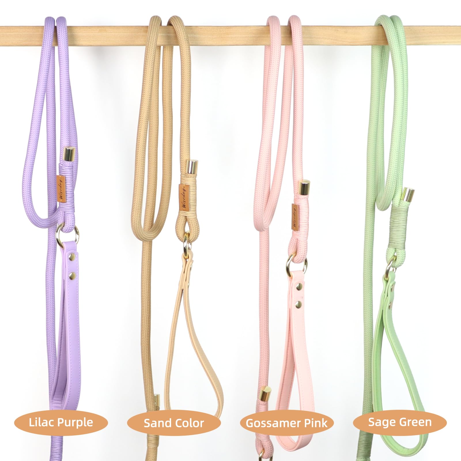 Wisedog leash supports comfortable control during urban and park strolls