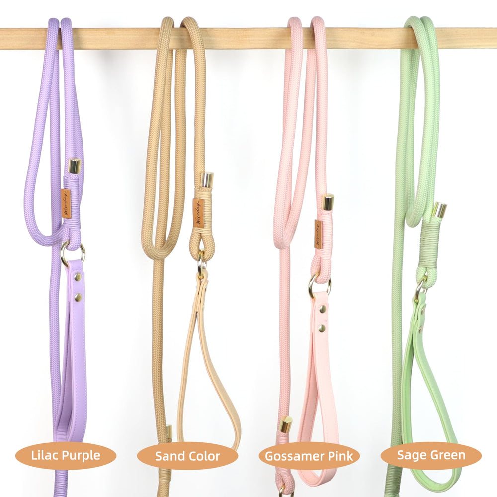 Wisedog leash supports comfortable control during urban and park strolls