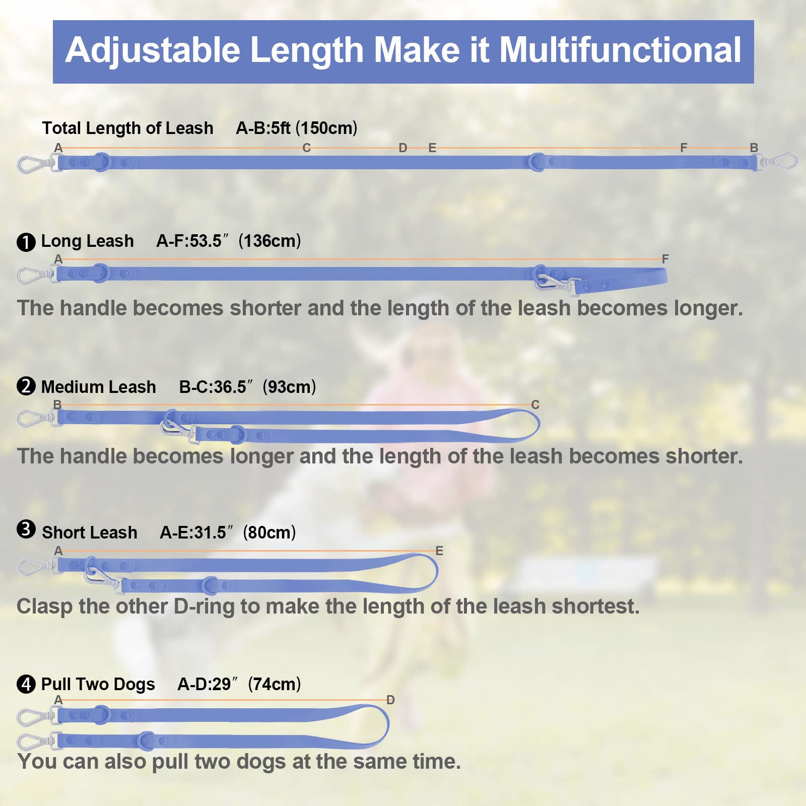 Wisedog leash dual swivel hooks reduce tangling for smoother strolls