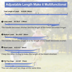 Wisedog leash dual swivel hooks reduce tangling for smoother strolls