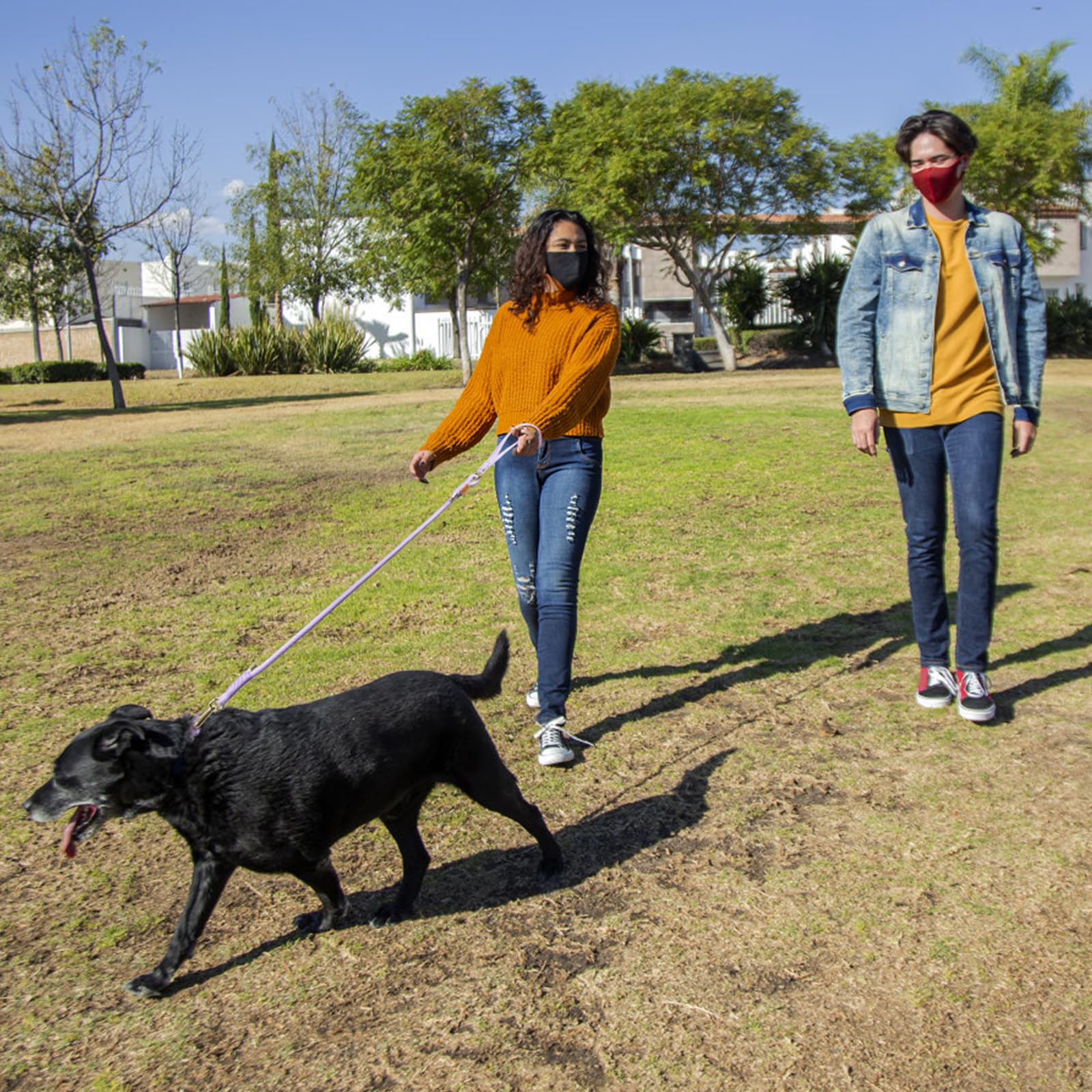 Wisedog lilac color swatch highlights fashionable, easy-to-match gear