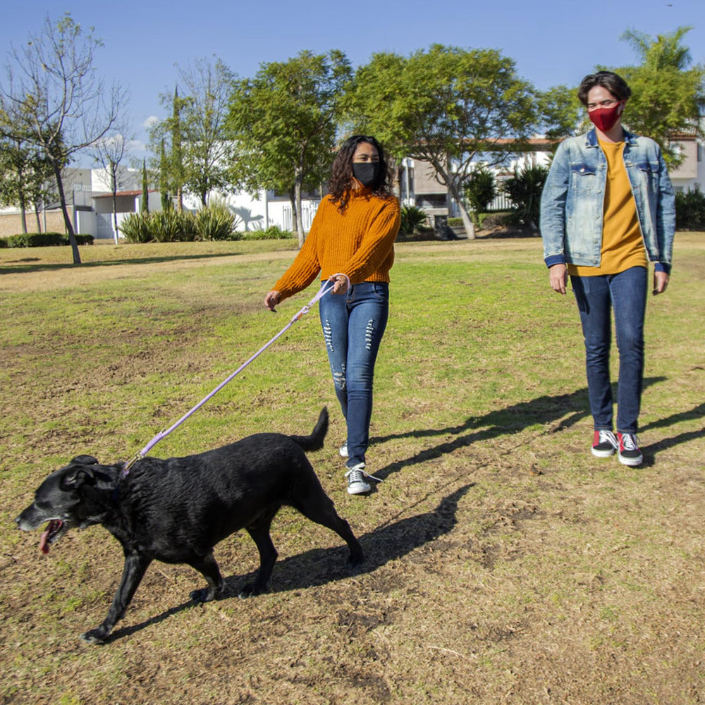 Wisedog lilac color swatch highlights fashionable, easy-to-match gear