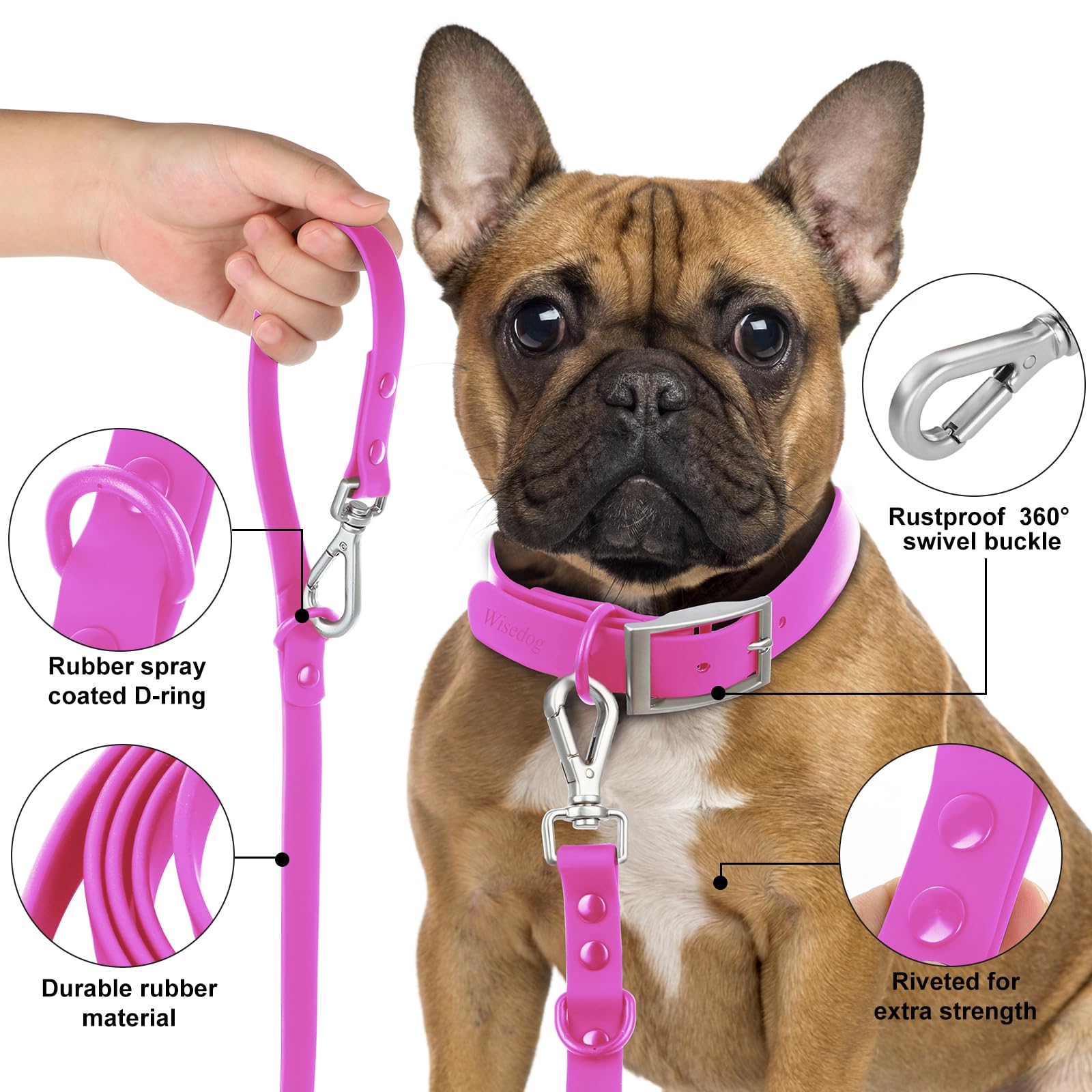 Wisedog leash with two metal swivel hooks to minimize tangling.