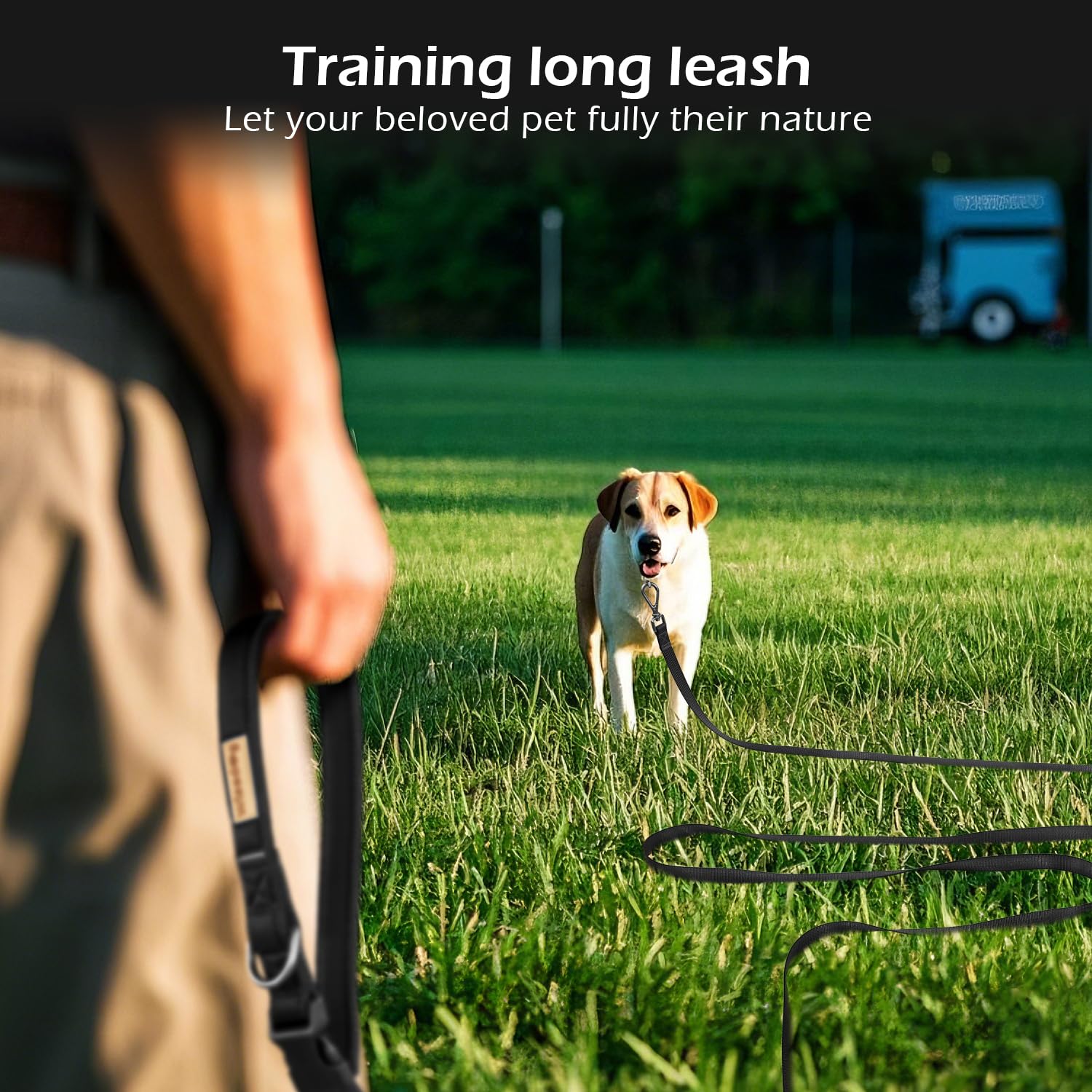 Wisedog long leash with 360 rotating buckle reduces tangling during activity.
