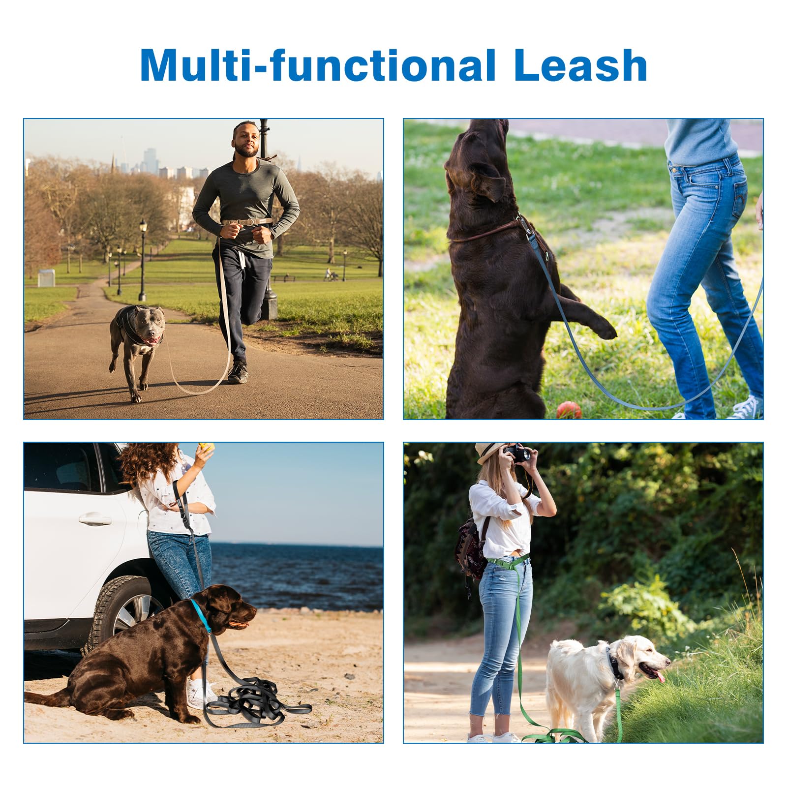 Wisedog long leash includes D-buckle accessory to hold keys.
