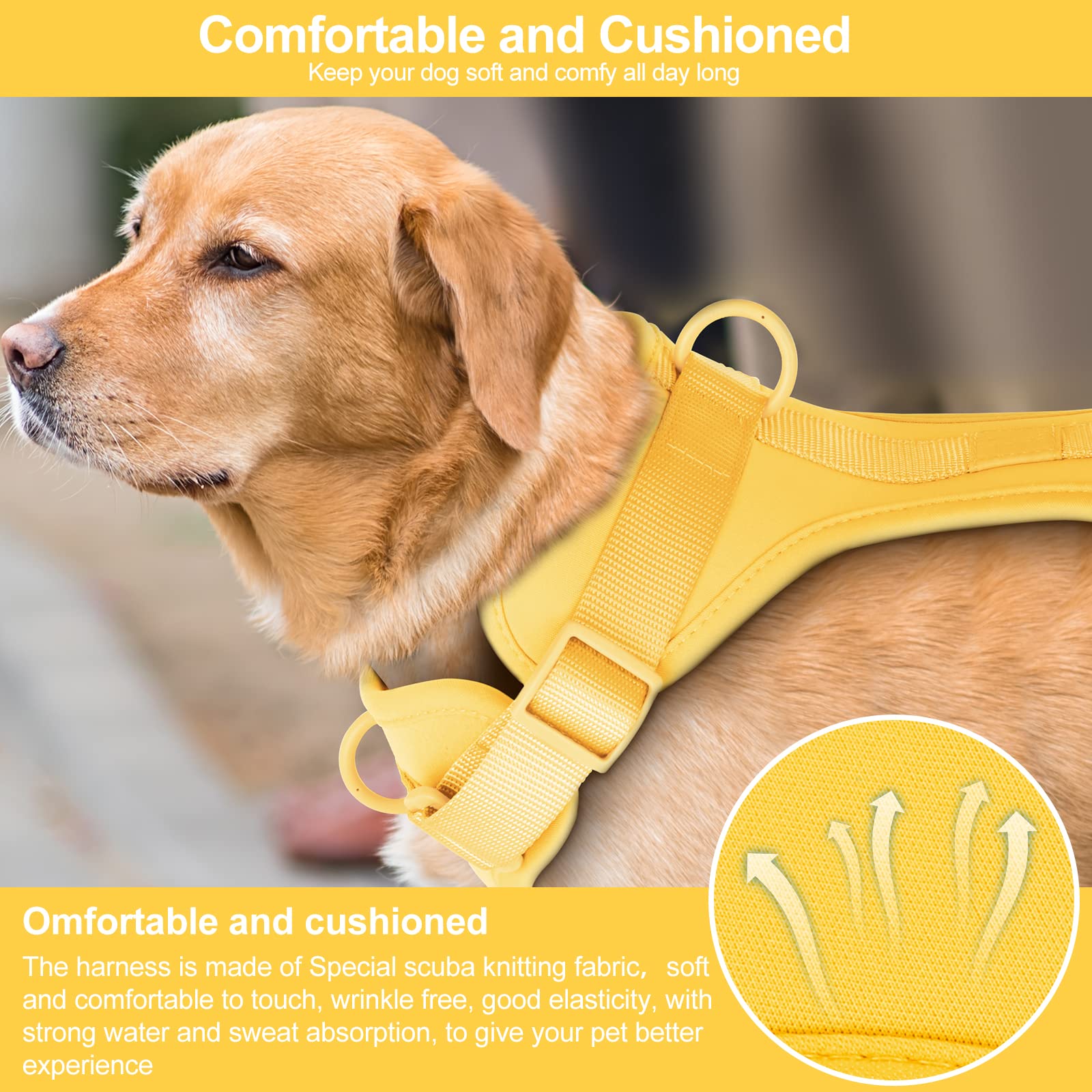 Wisedog No Pull Harness breathable mesh cushions the dog during outdoor activity.