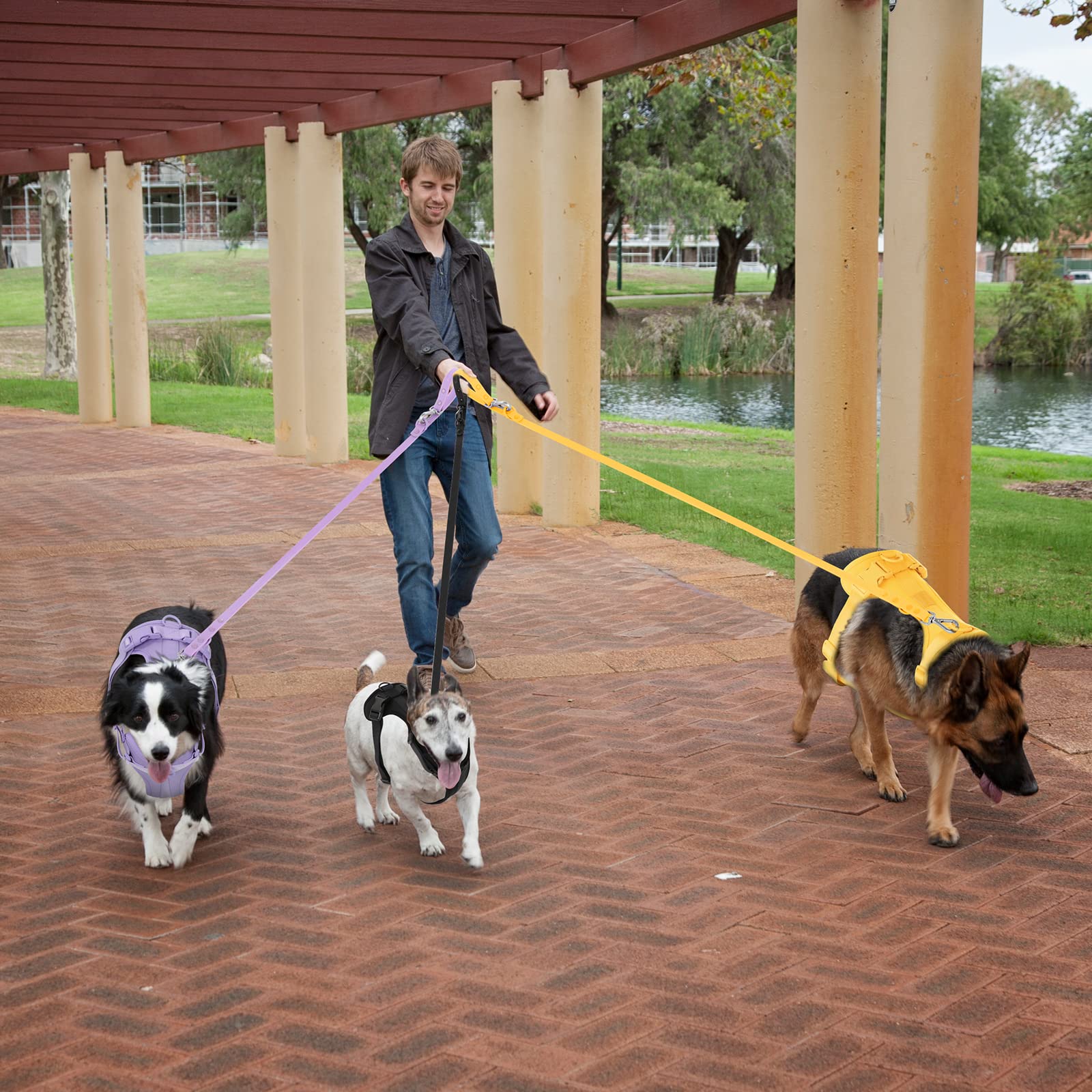 Wisedog No Pull Harness suited for daily dog walking and comfort on the go.