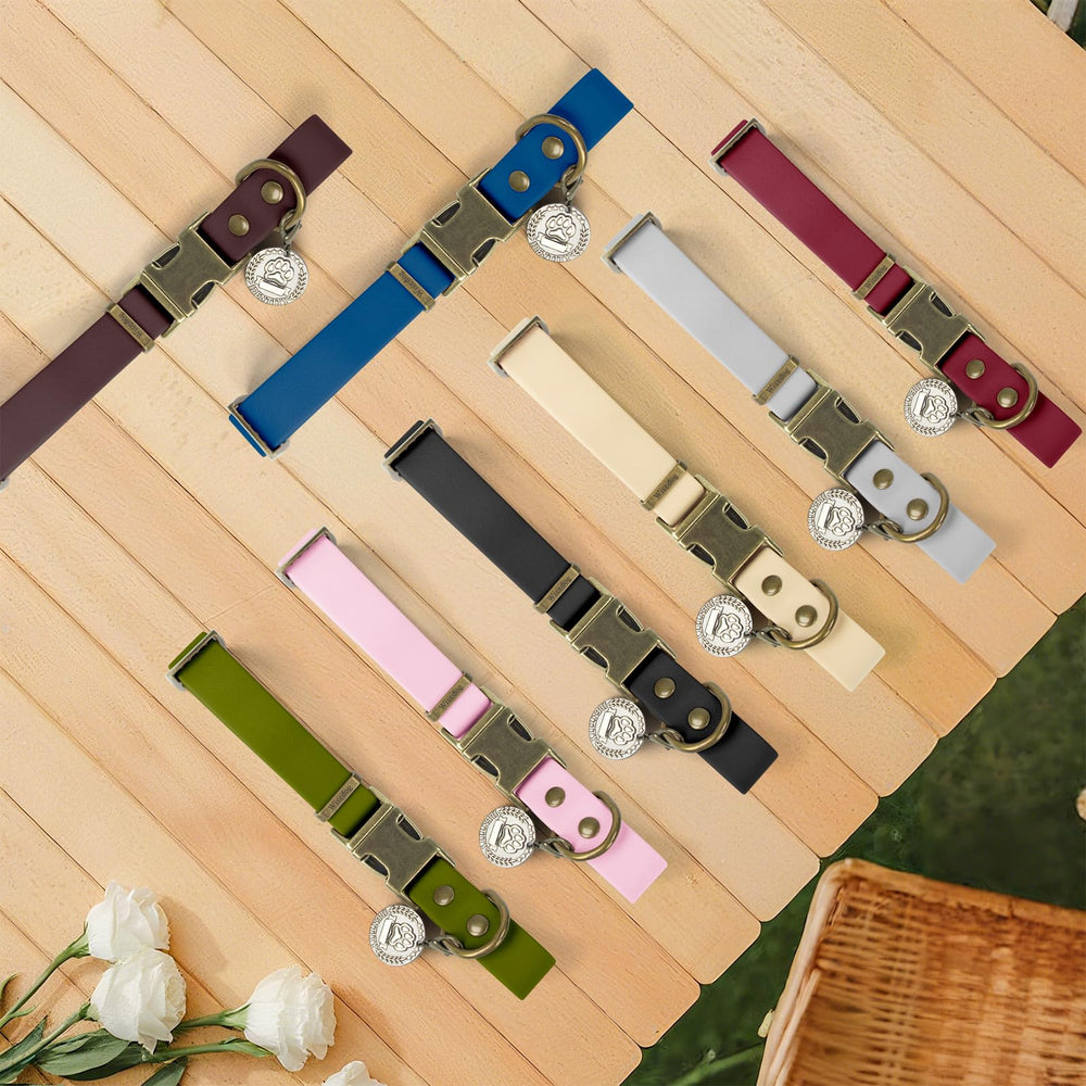 Wisedog outdoor-dog walk tags on collar for identification and style.
