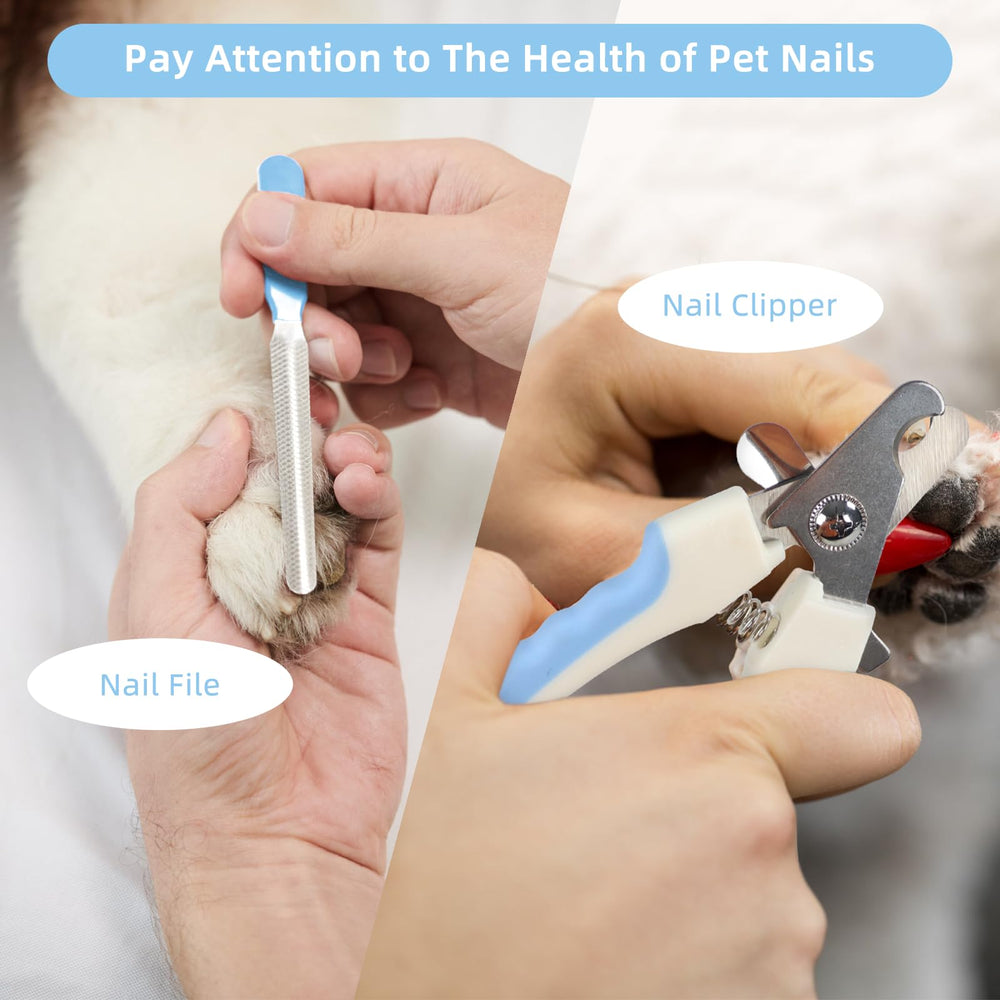 Wisedog hair removal mitts lift loose fur for easy cleanup after adventures.