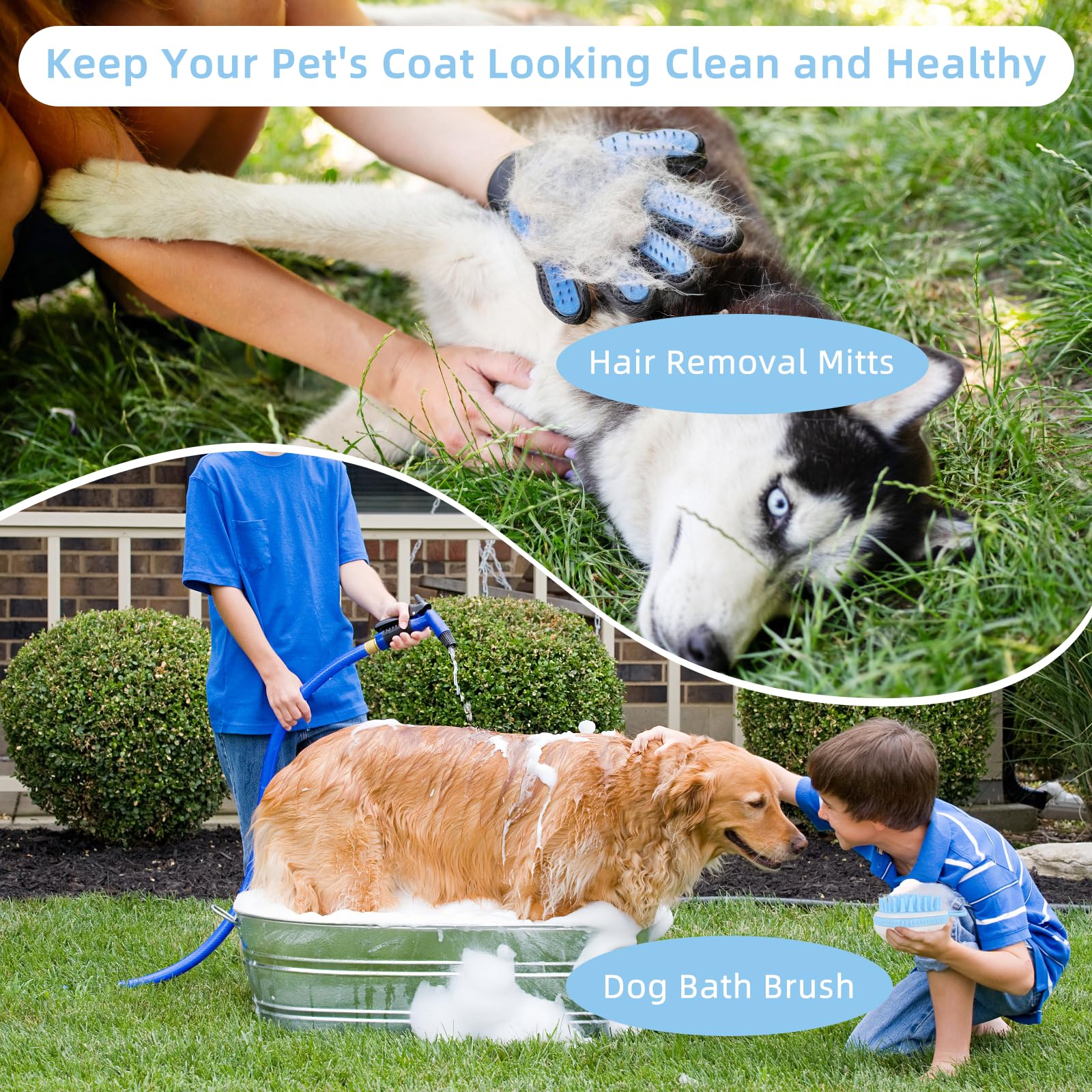 Wisedog nail clippers used for sharp, safe, precise paw trims.