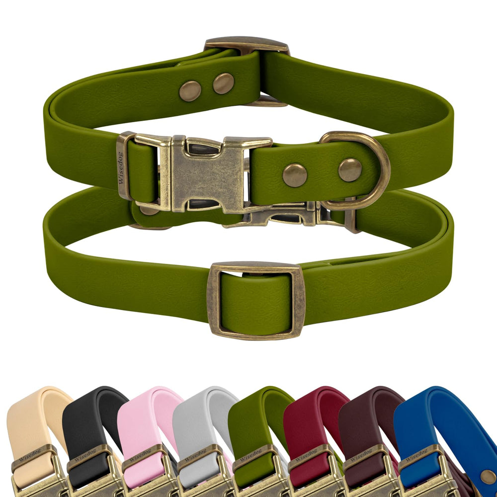 Wisedog rubber collar waterproof keeps medium dog dry after rain while outdoors.