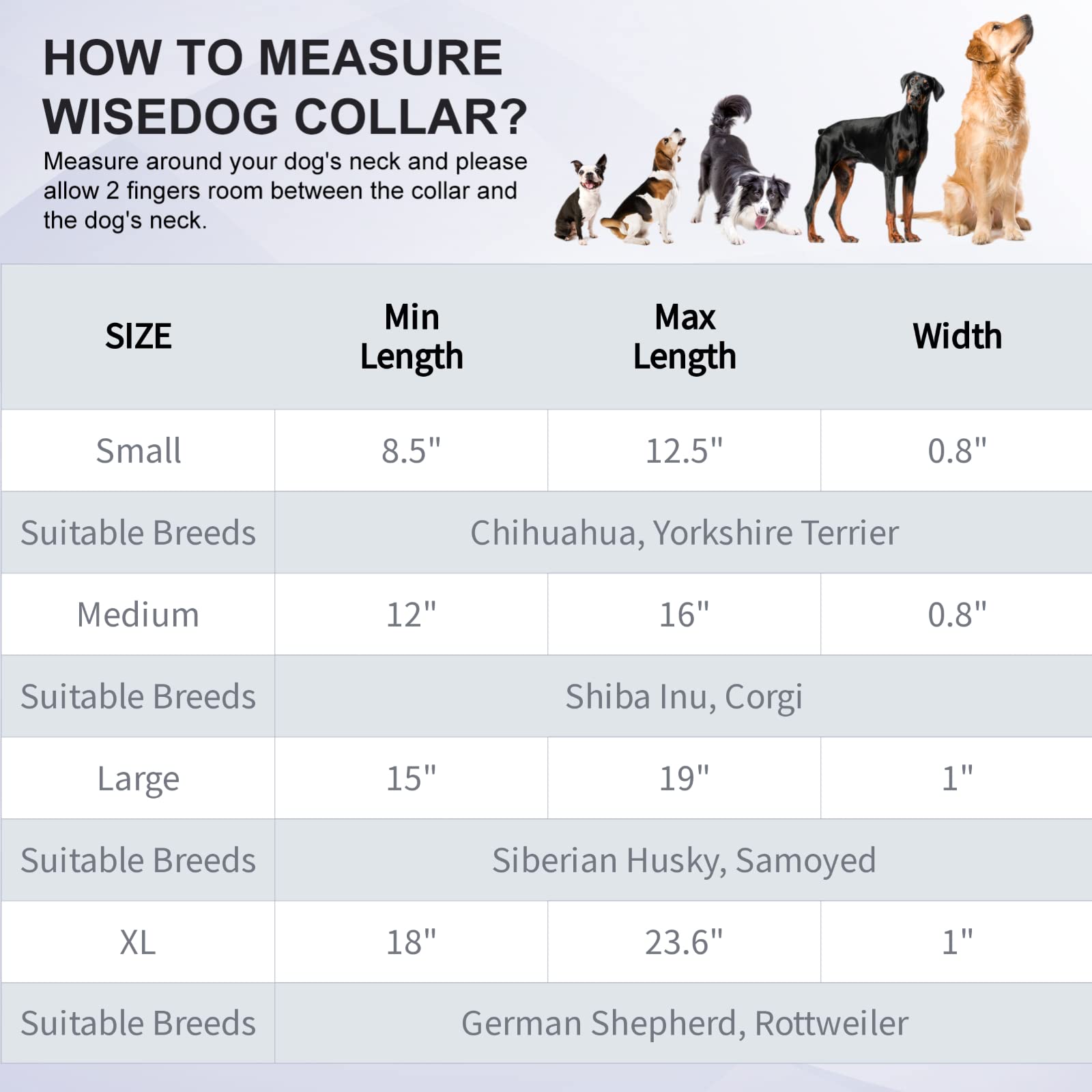 Wisedog soft rubber-coated webbing provides gentle, comfortable wear during long walks and play.