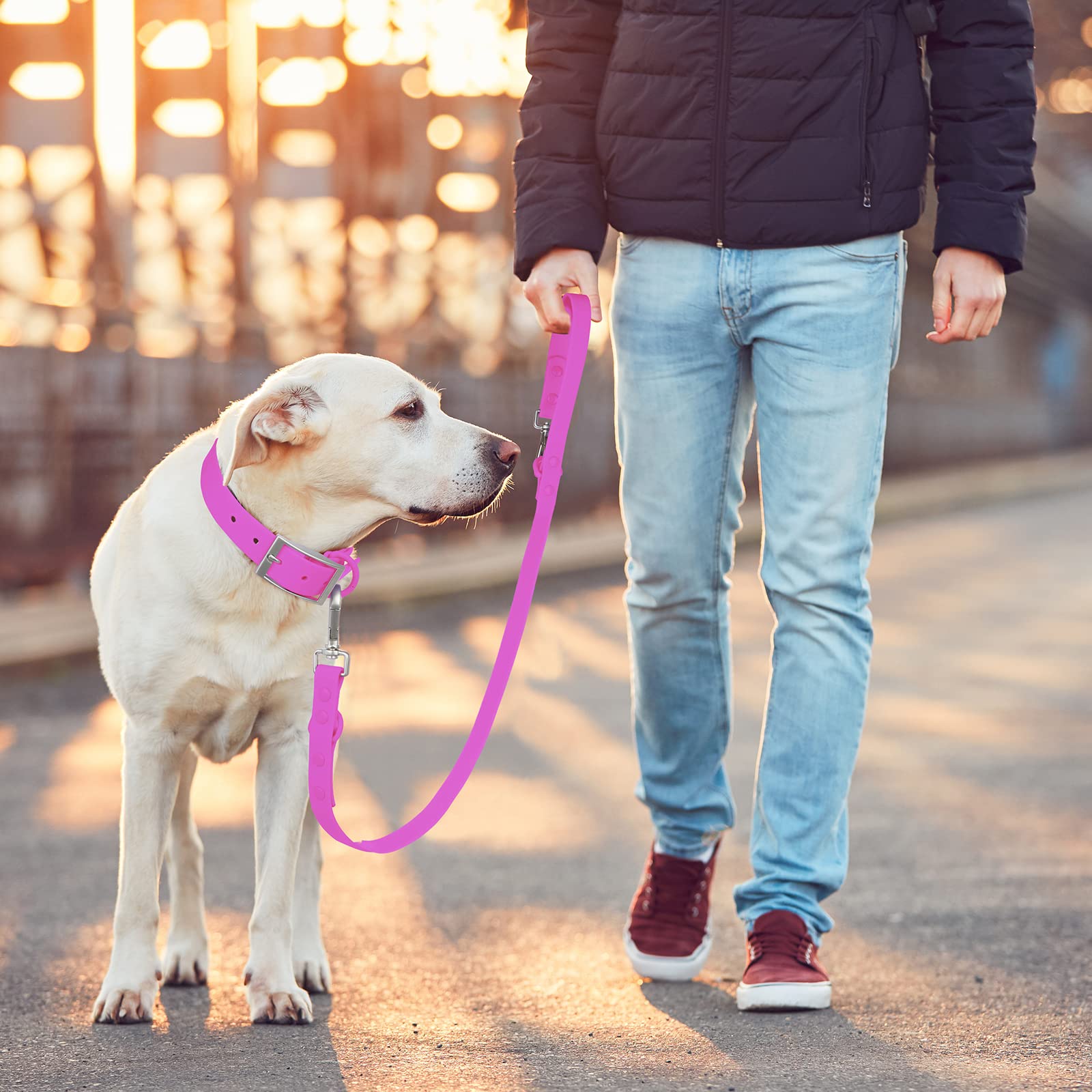 Wisedog leash color options like emerald green and lilac for stylish outings