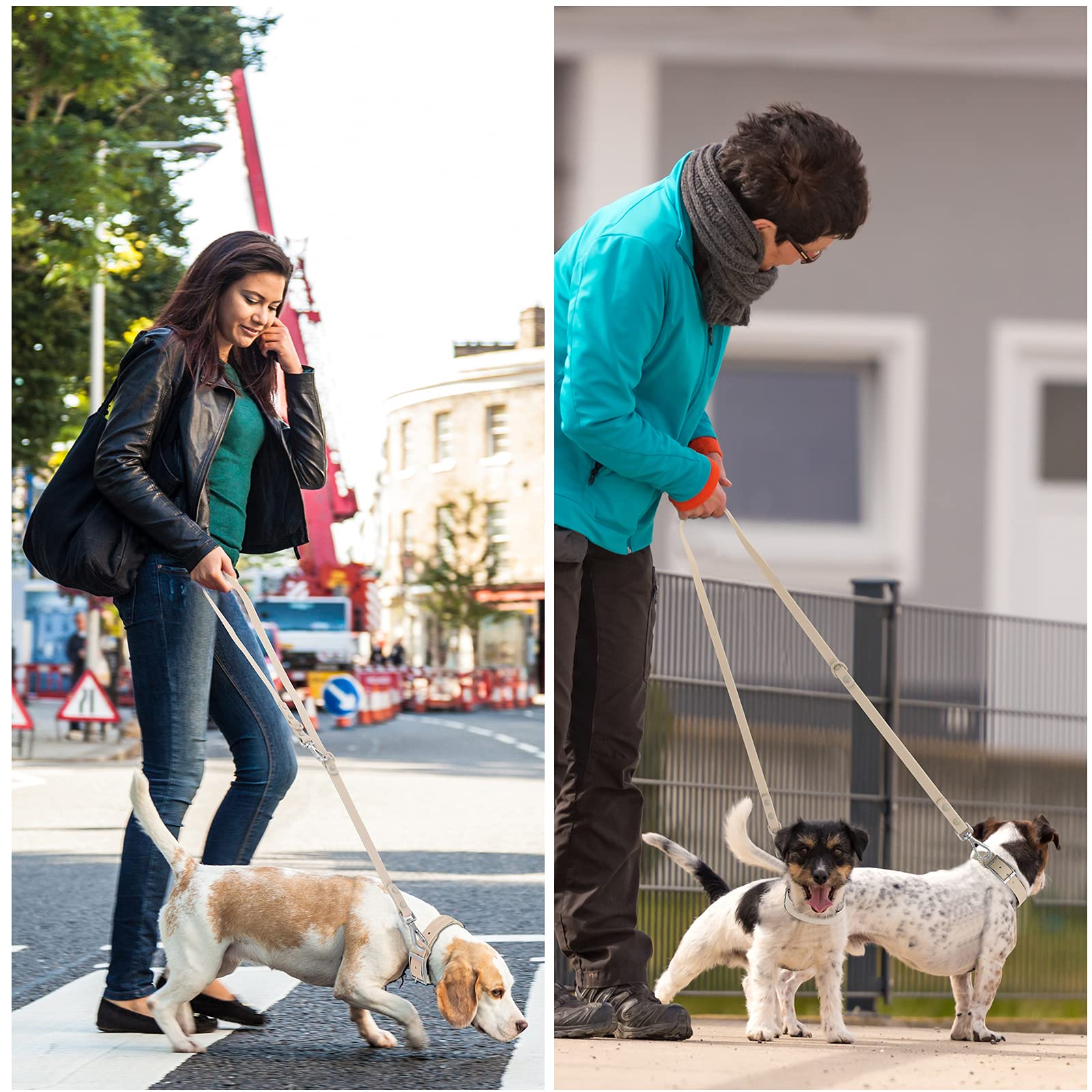 Wisedog waterproof dog leash color options for stylish matches.