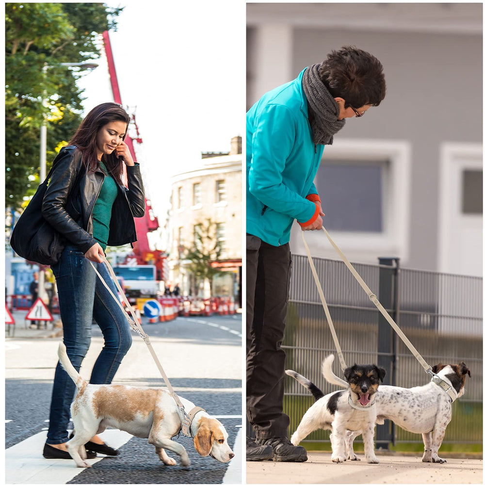Wisedog waterproof dog leash color options for stylish matches.