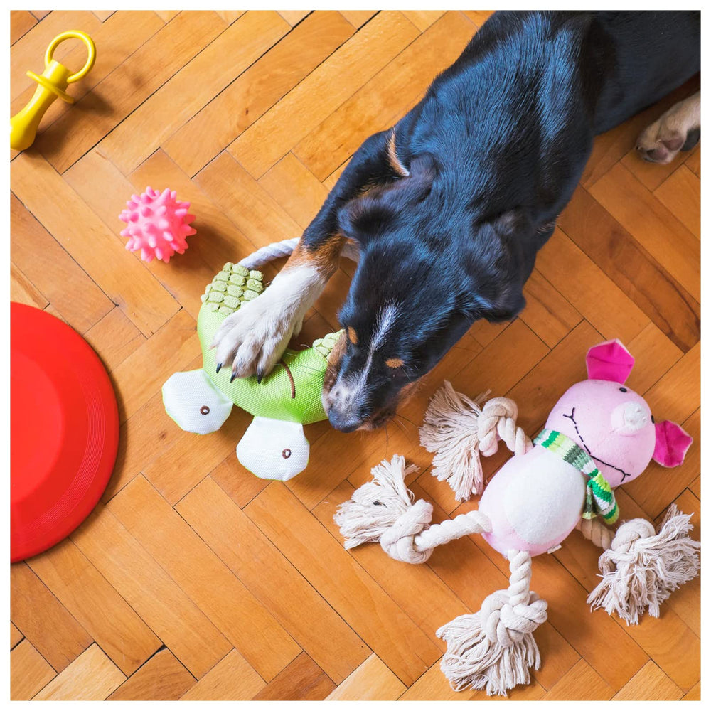 WishLotus 10-pack squeakers for quick toy repairs and replacements.