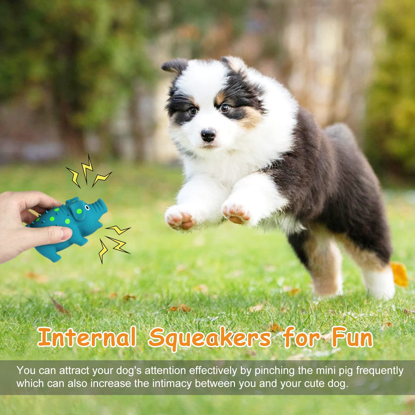 WishLotus blue squeaky pig toy helps relieve boredom during solo play.