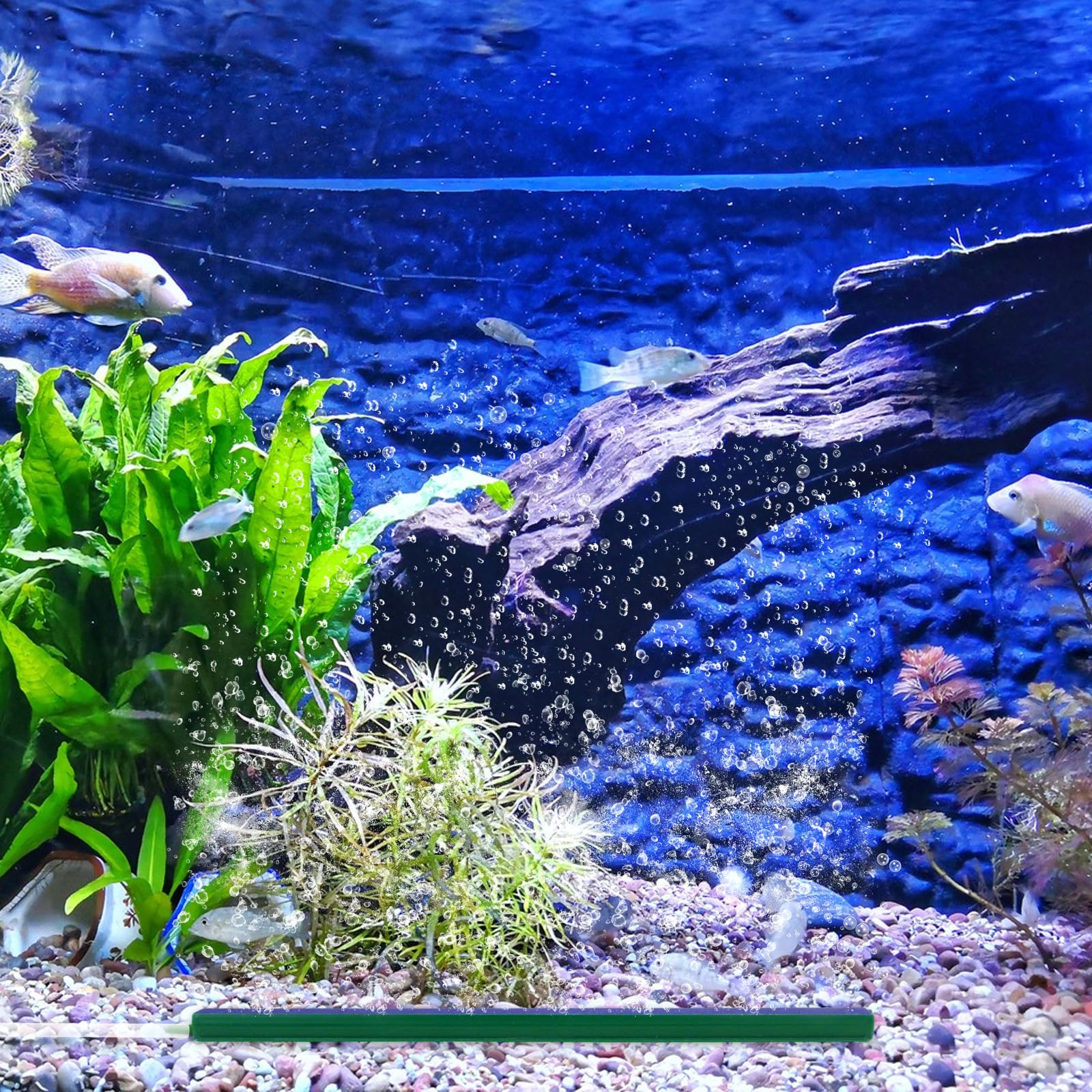 WishLotus two-pack supports durable use and flexible positioning in small to medium tanks.