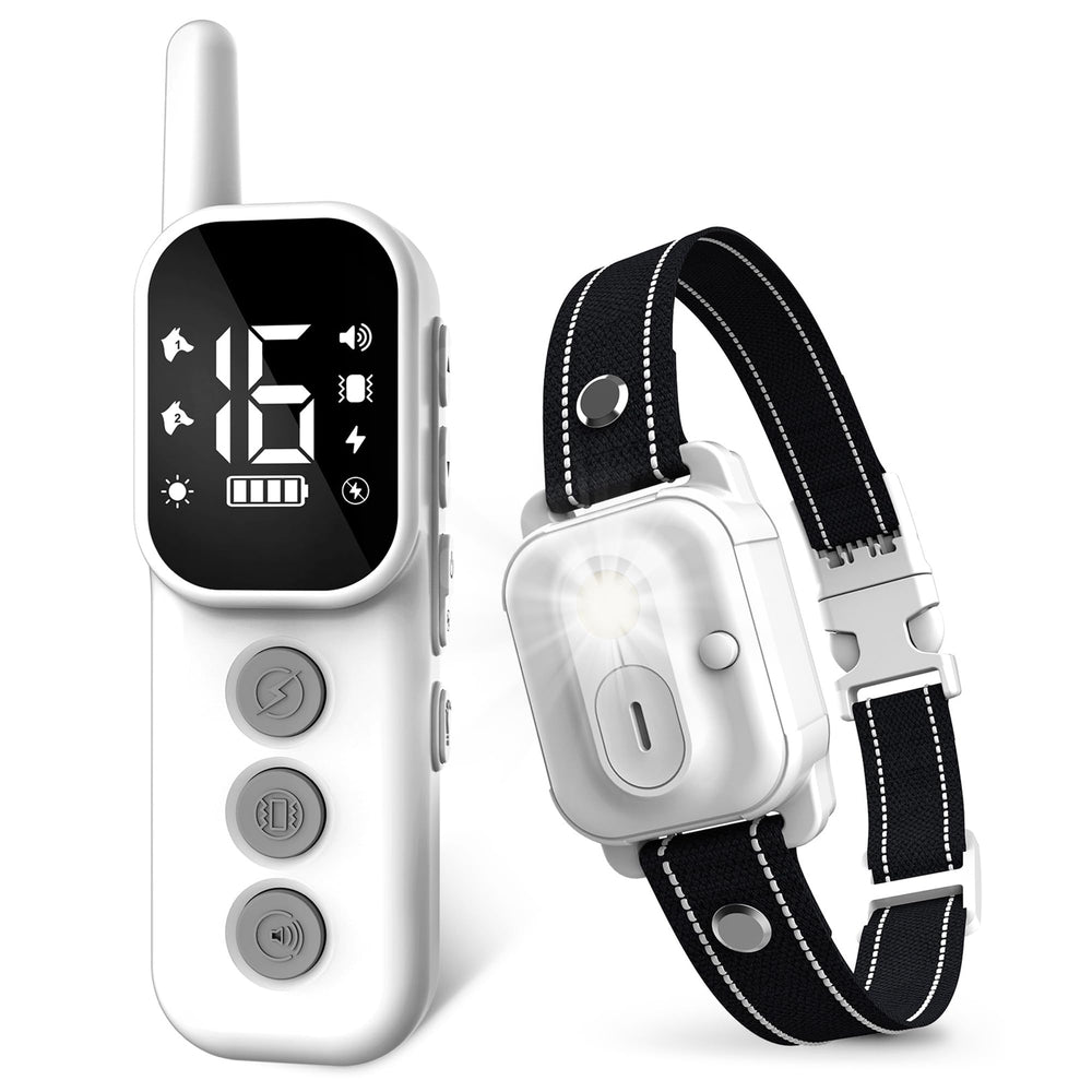 Wissilor backyard training scenario showing practical outdoor use