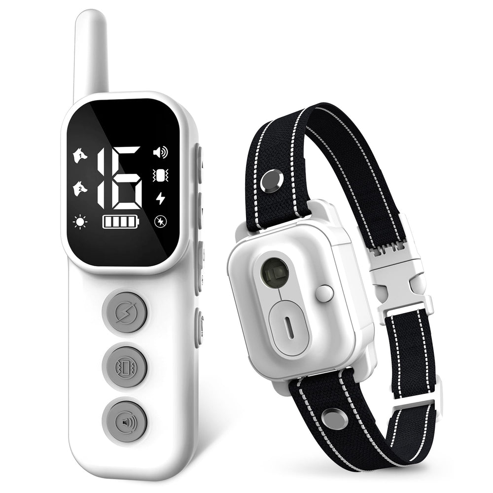 Wissilor dog training collar front view for comfortable daily training