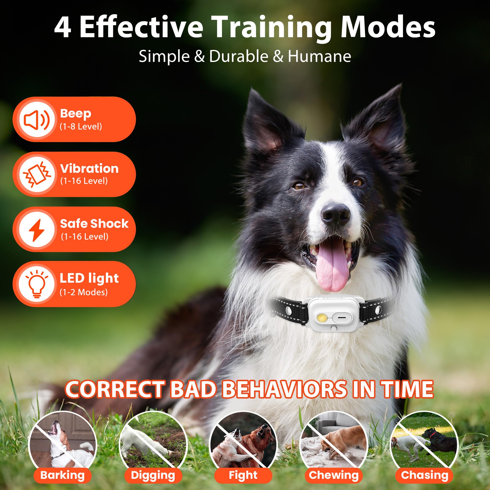 Wissilor dog training collar remote control enabling distant recall