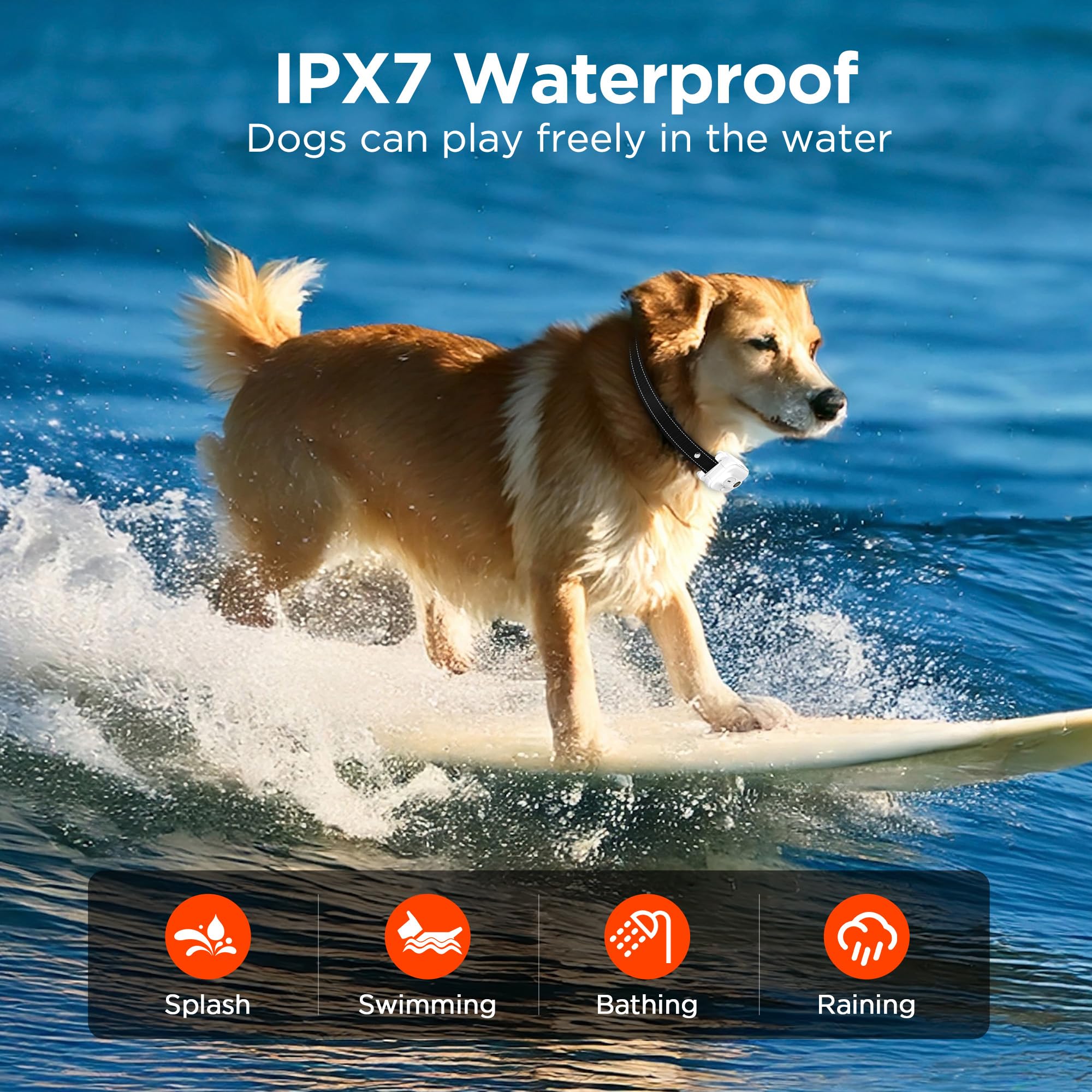 Wissilor safe shock button area with safety lock to prevent accidental shocks