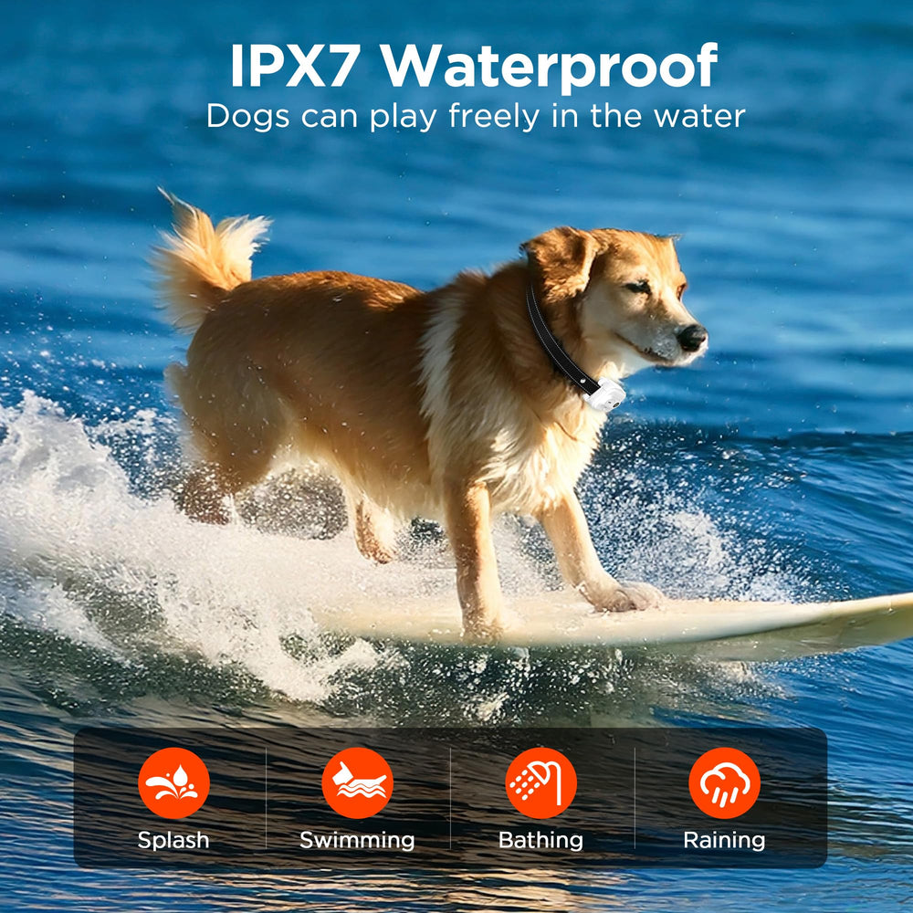 Wissilor safe shock button area with safety lock to prevent accidental shocks