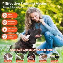 Wissilor dog training collar vibration mode delivers mild correction during walks.