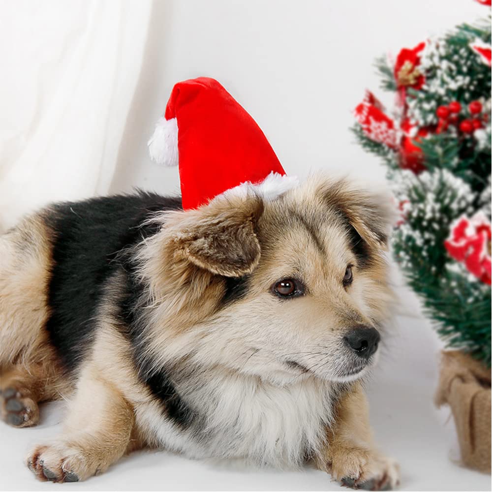 Wiz BBQT 3D plush Santa hat close-up highlights soft texture and cozy wear.