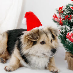 Wiz BBQT 3D plush Santa hat close-up highlights soft texture and cozy wear.