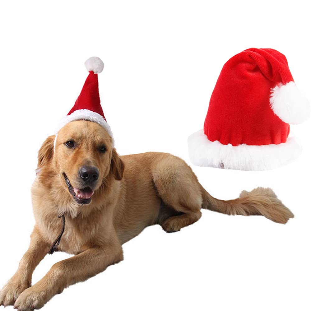 Wiz BBQT adjustable 3D Santa hat on a cat for holiday style.