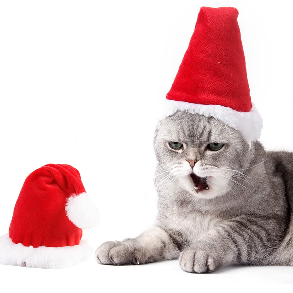 Wiz BBQT adjustable 3D Santa hat on a small dog shows festive style and comfortable fit.