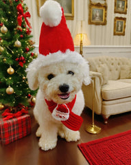 Wiz BBQT dog Christmas scarf with Santa motif adds charming holiday flair to photos.