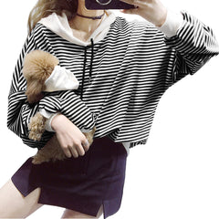 Wiz BBQT dog-owner matching stripes image for cozy everyday walks