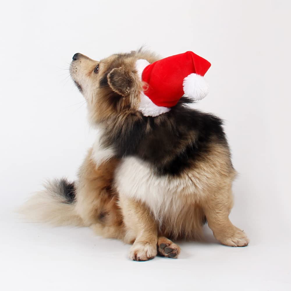 Wiz BBQT elastic-band fit Santa hat demonstrates secure, comfy party-ready look.
