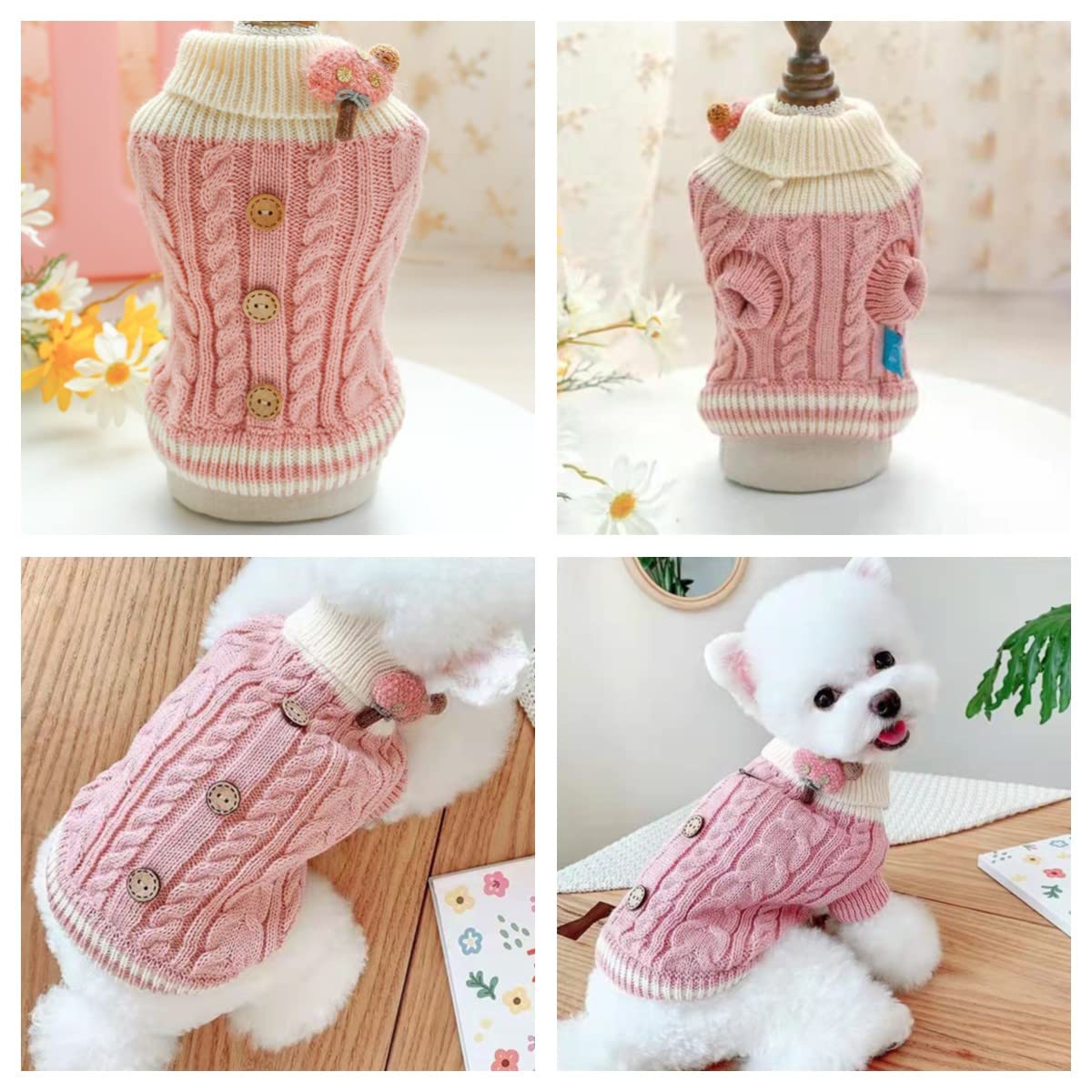 Wiz BBQT sweater for small breeds keeps Chihuahua and Dachshund cozy at home.