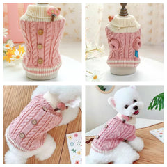 Wiz BBQT sweater for small breeds keeps Chihuahua and Dachshund cozy at home.