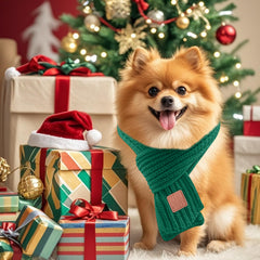 Wiz BBQT knitted scarf pack on dogs and cats providing cozy warmth.