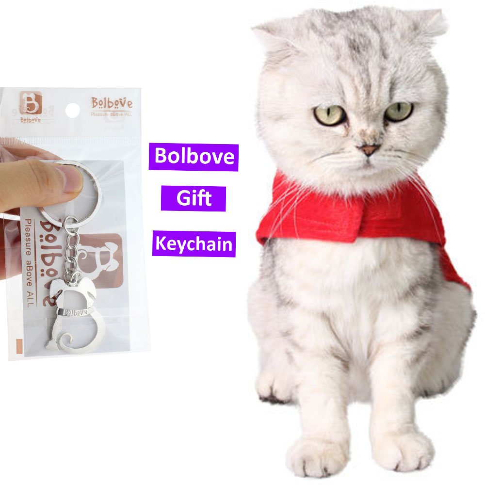 Easy on/off with adhesive hook and loop fastener