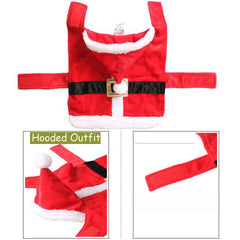 Wiz BBQT Bolbove outfit worn by small dog during Christmas