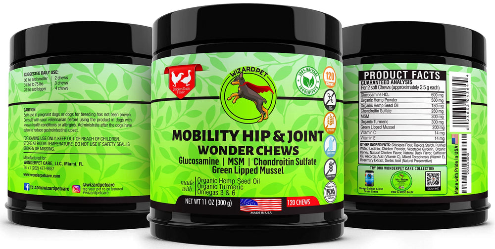 WizardPet dog chews serving scene illustrating daily joint care
