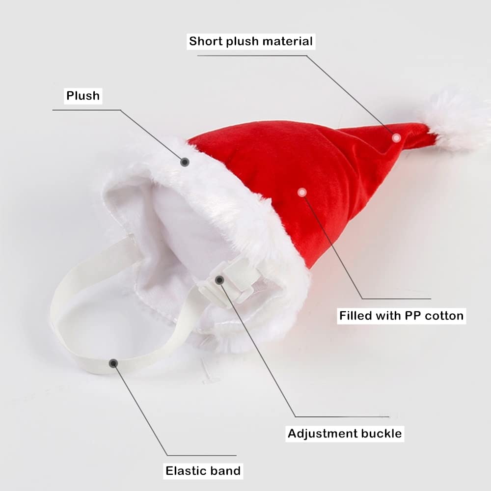 Wiz BBQT Santa hat used as a holiday photo prop for pets